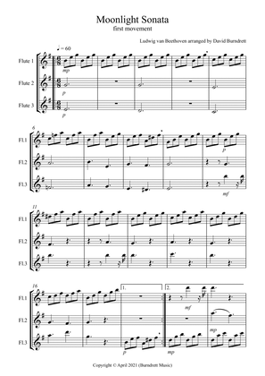 Moonlight Sonata (1st movement) for Flute Trio