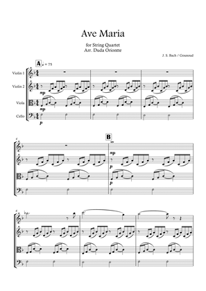 Ave Maria (String quartet - wedding) Bach - Gounod