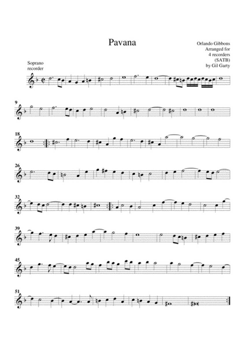 Pavana (Fitzwilliam virginal book, no.292) (arrangement for 4 recorders)