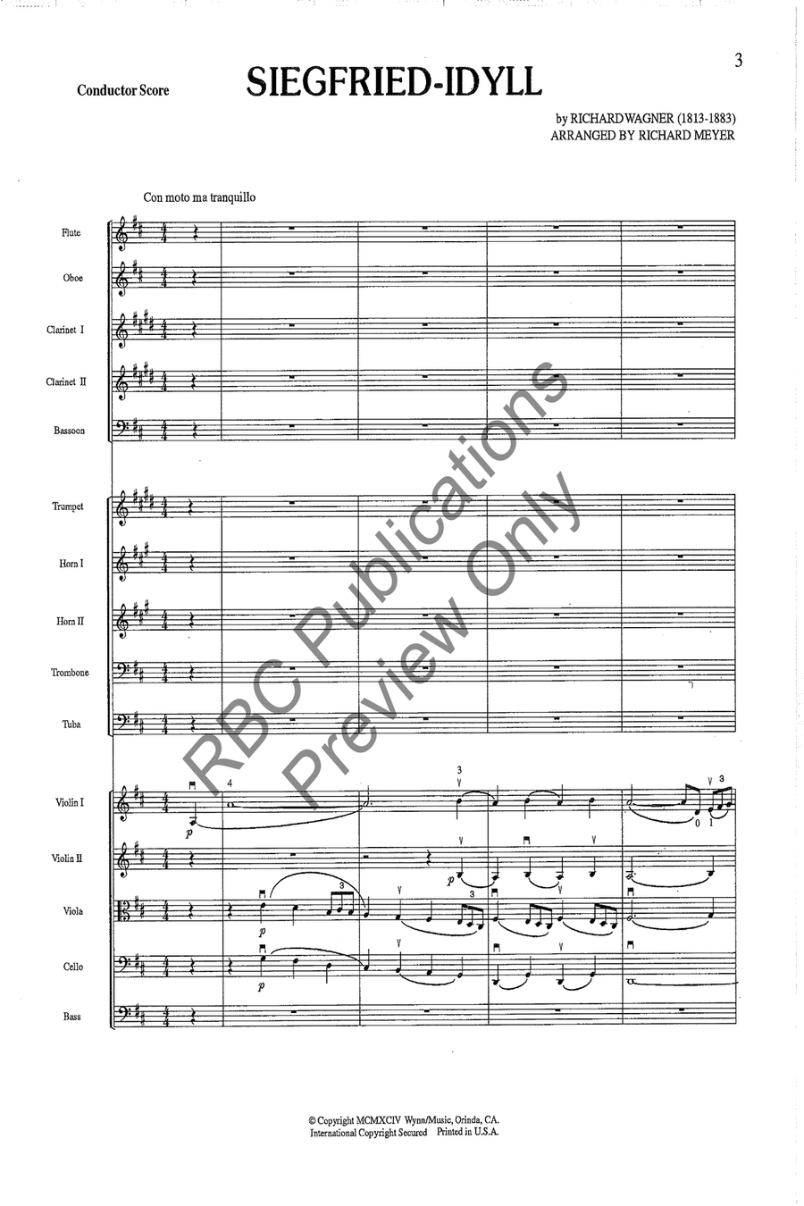 Siegfried Idyll Full Orchestra scores gallery preview page 4