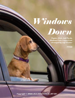 Book cover for Windows Down