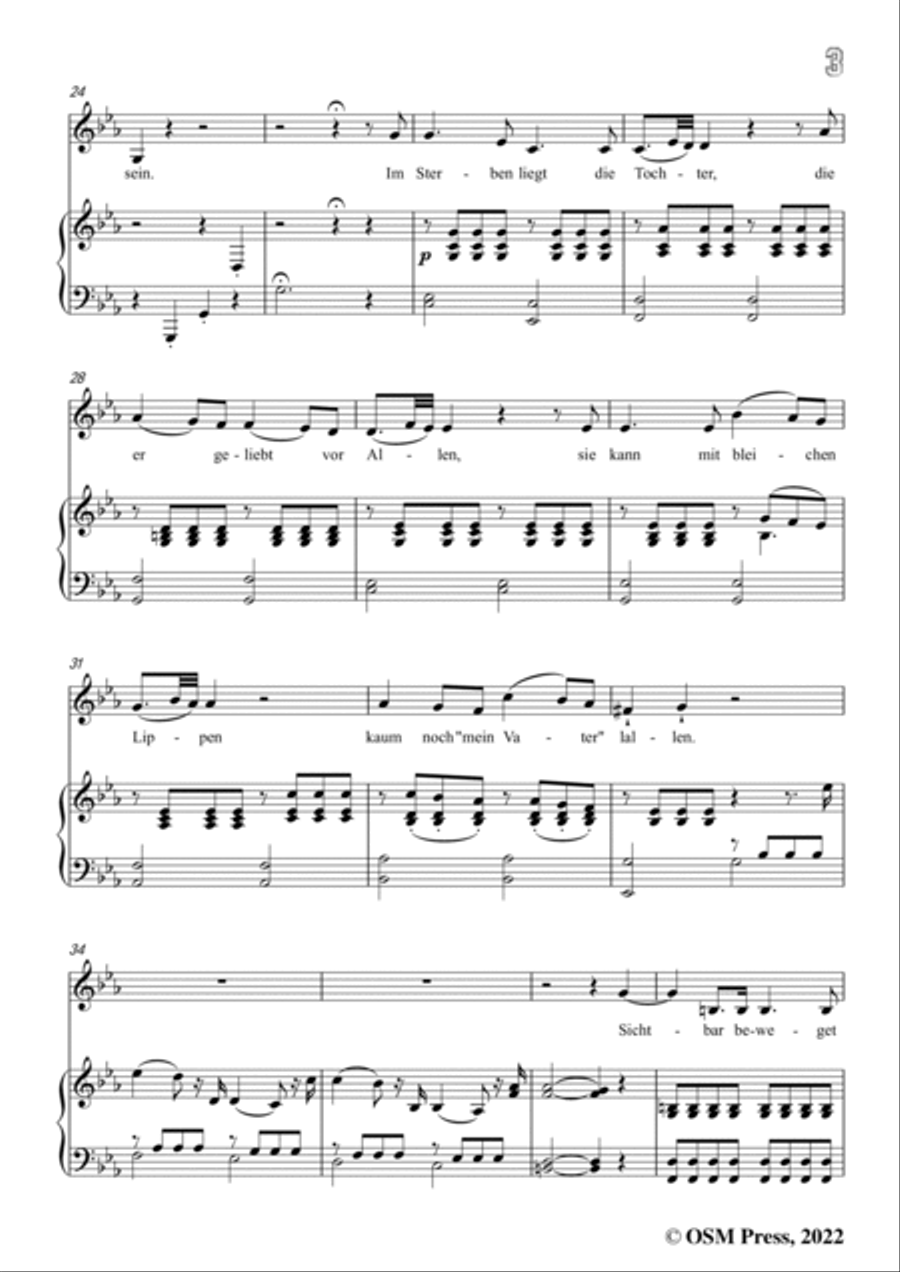 Loewe-Der selt'ne Beter,in c minor,Op.141,for Voice and Piano Voice Solo scores gallery preview page 5