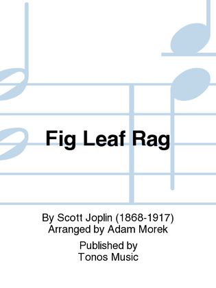 Book cover for Fig Leaf Rag