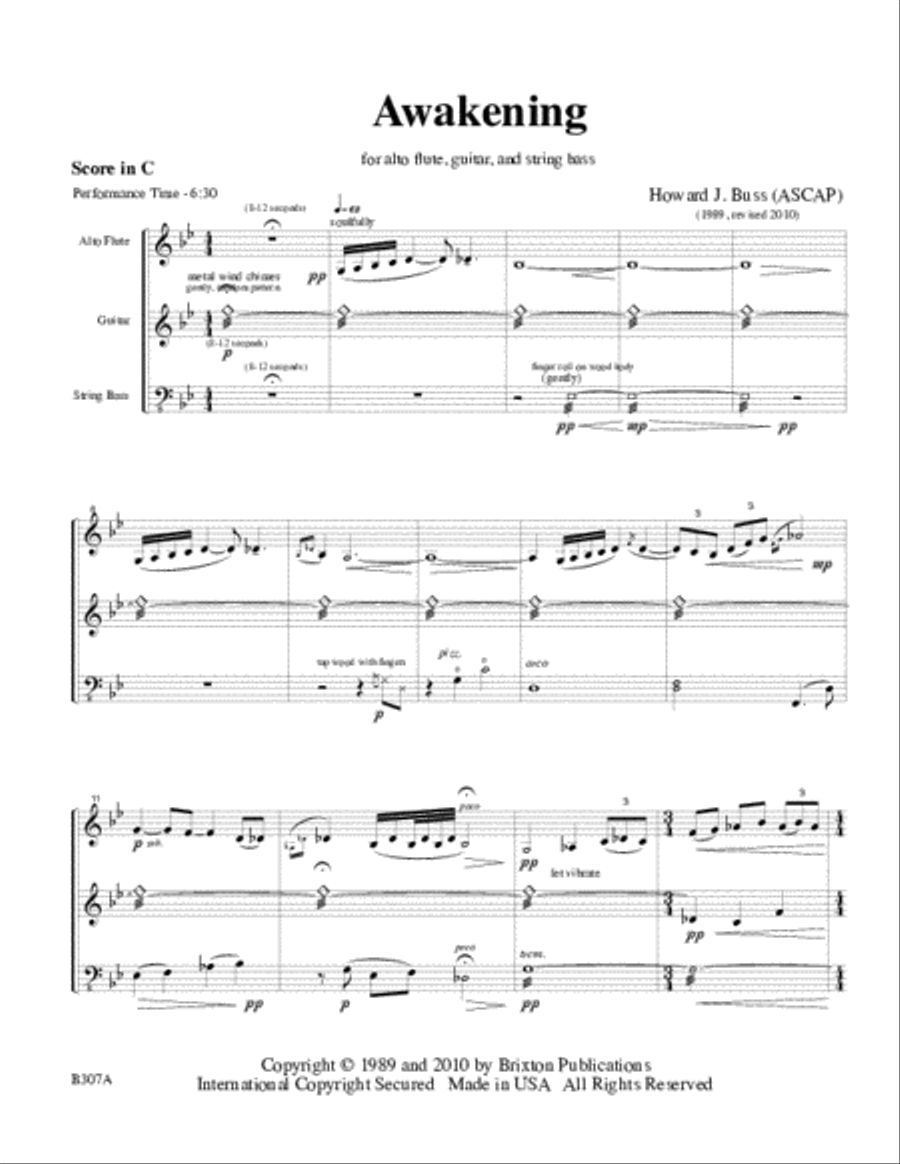 Awakening Flute scores gallery preview page 2