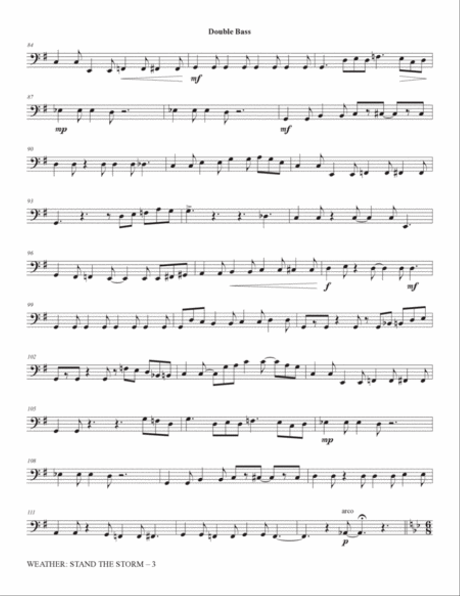 Weather: Stand The Storm (Chamber Ensemble) - Double Bass Choir scores gallery preview page 3