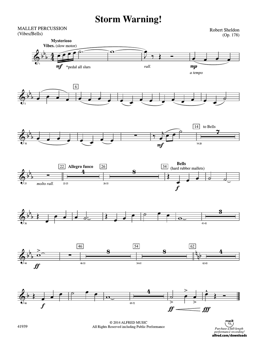 Storm Warning!: Mallets