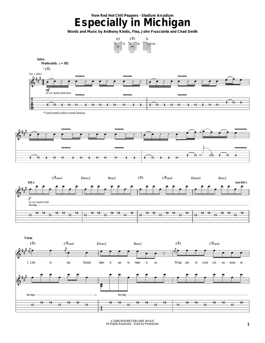 Especially In Michigan Acoustic Guitar scores gallery preview page 1