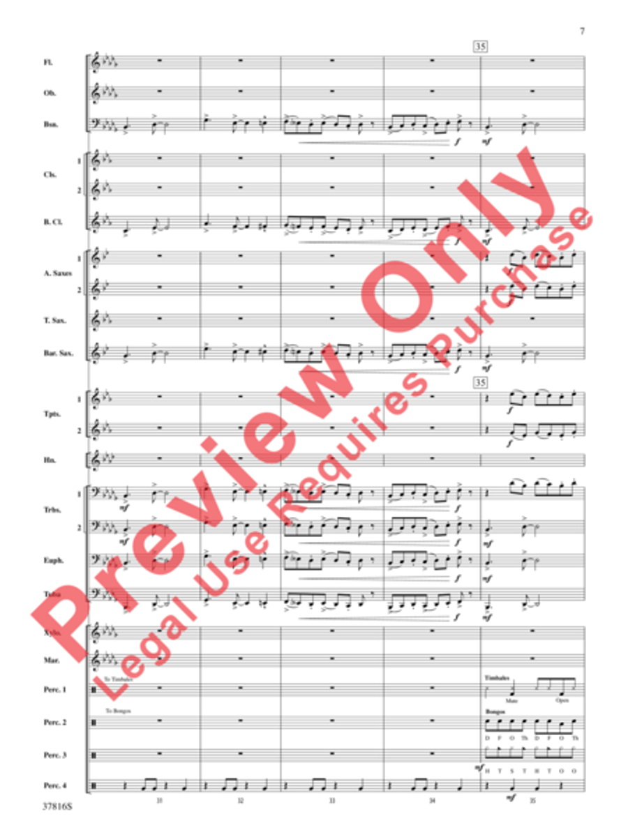 Baile Sereno Concert Band scores gallery preview page 8