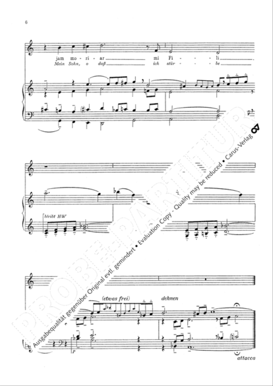 Marienklage Alto Voice scores gallery preview page 9