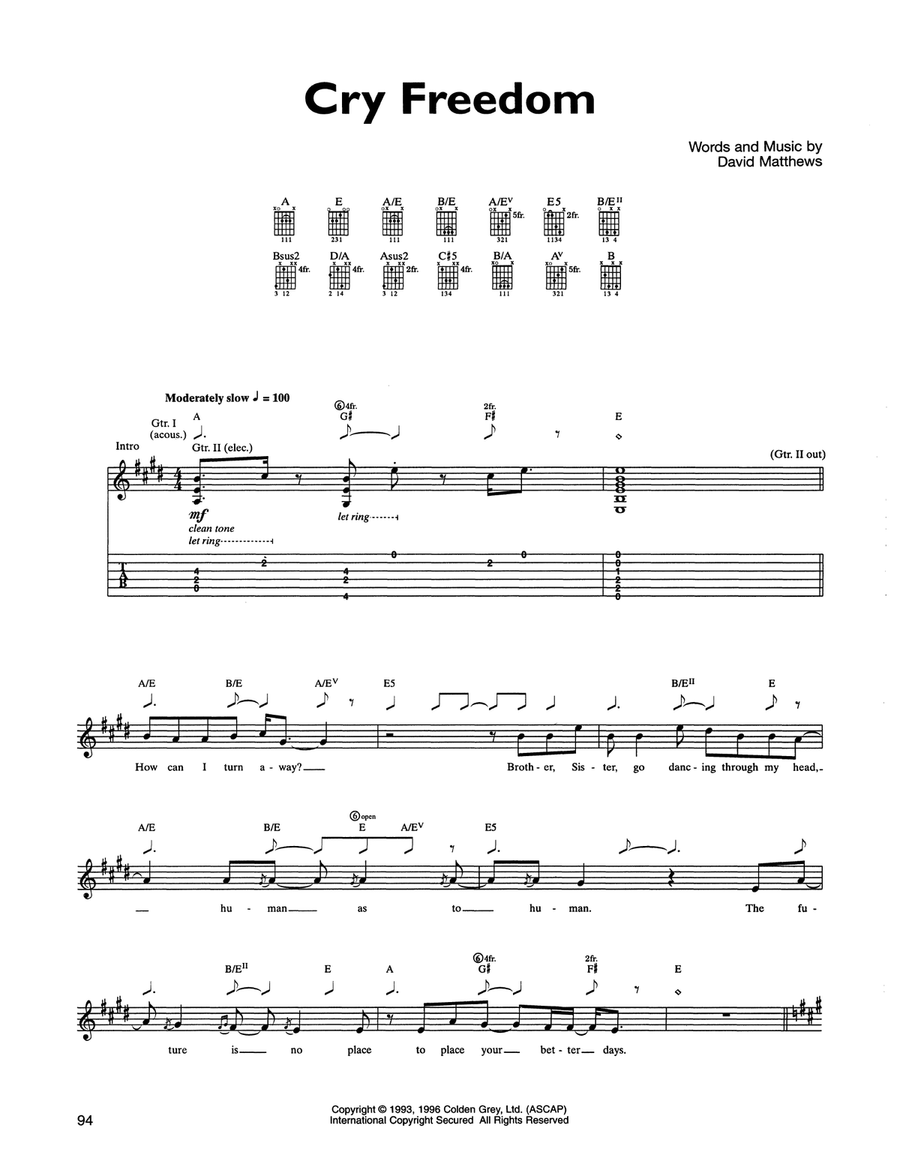 Cry Freedom Acoustic Guitar scores gallery preview page 1