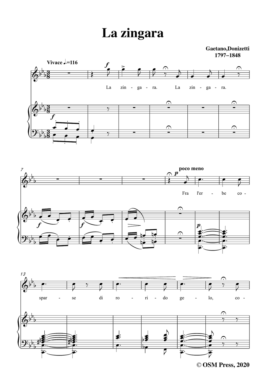 Donizetti-La Zingara,in c minor,for Voice and Piano Piano, Vocal scores gallery preview page 3