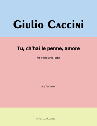 Tu, ch'hai le penne, Amore, by Giulio Caccini, in a flat minor