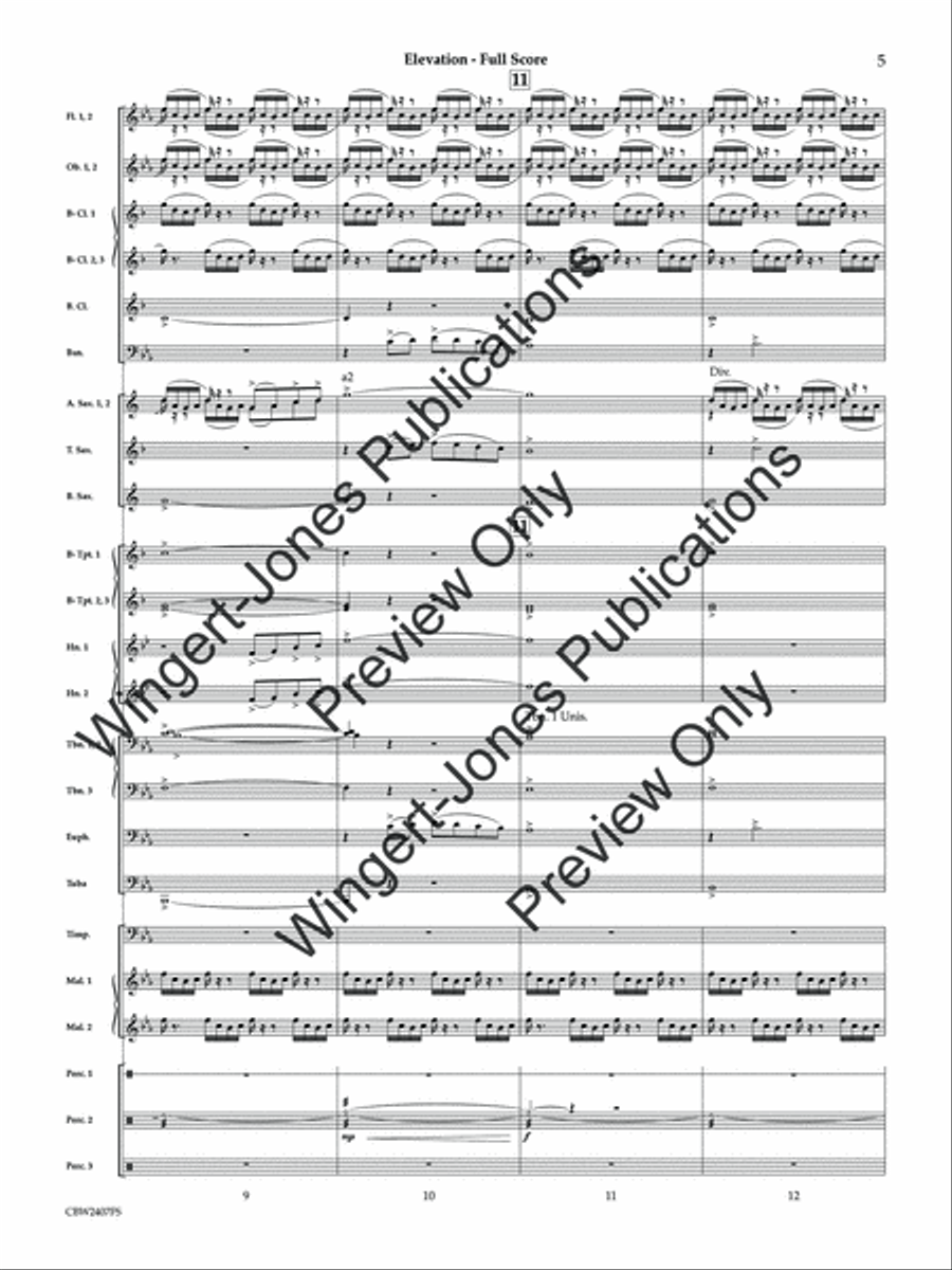 Elevation (Score) Concert Band scores gallery preview page 6