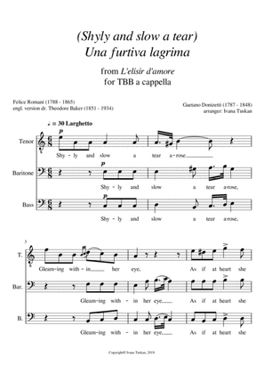 Shyly and slow a tear (Una furtiva lagrima) TBB a cappella, A minor