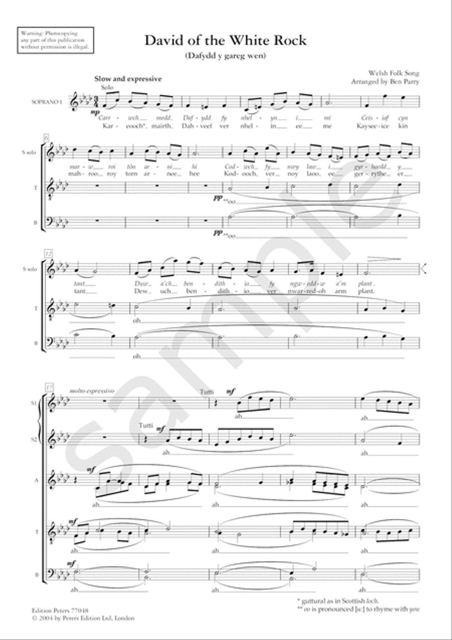 David of the White Rock for SSAATTBB Choir SSAATTBB scores gallery preview page 2