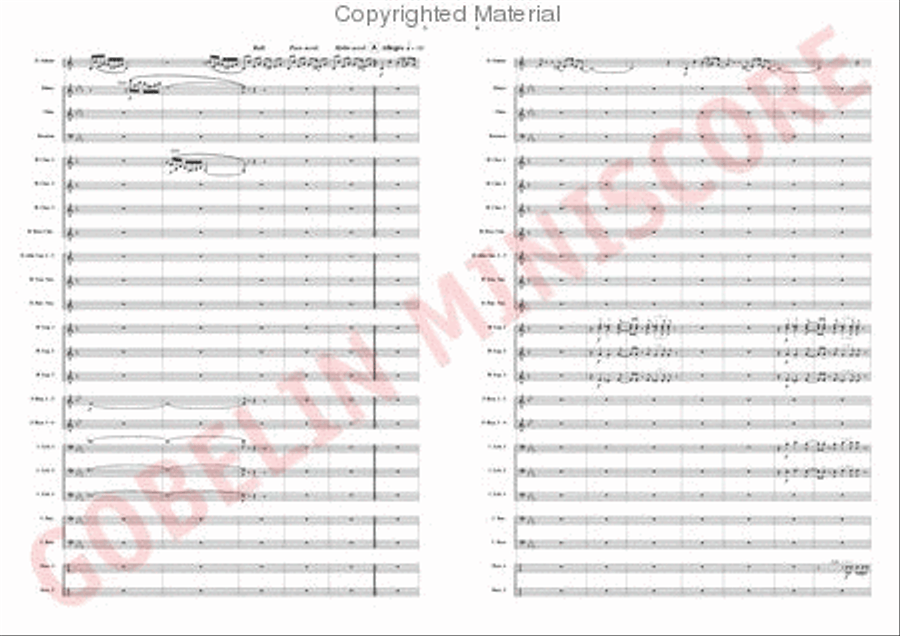 The Trouble with the Tuba is. Concert Band scores gallery preview page 3