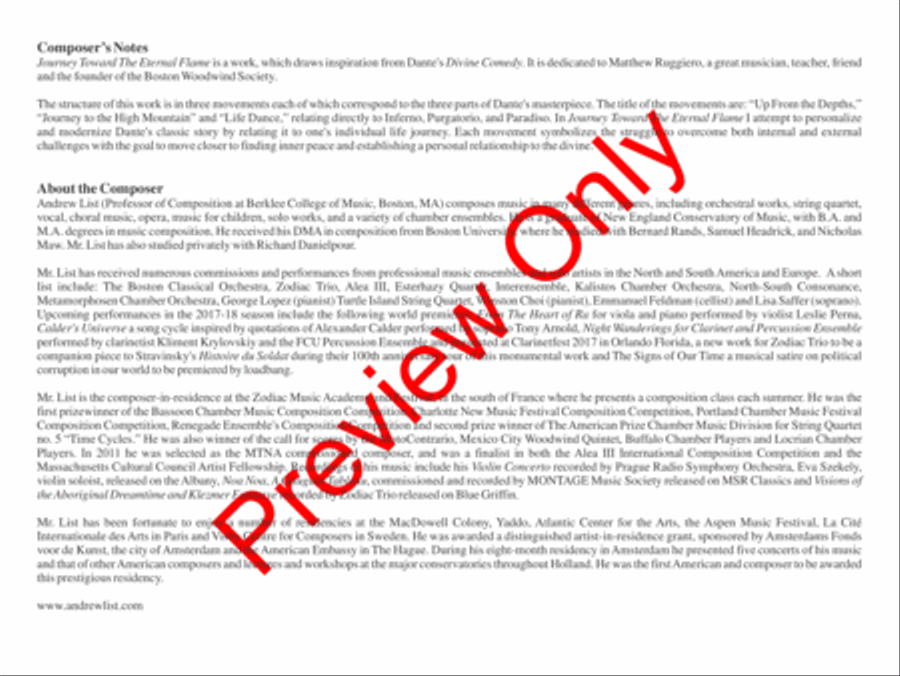 Journey Toward the Eternal Flame Bassoon scores gallery preview page 3