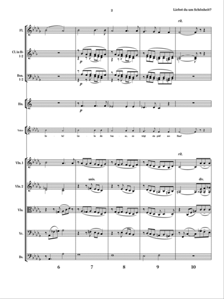 Liebst du um Schönheit? Chamber Orchestra scores gallery preview page 3