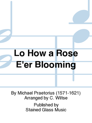 Lo How a Rose E'er Blooming