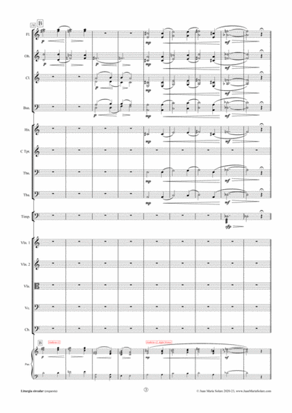 Liturgia circular [orchestra] image number null