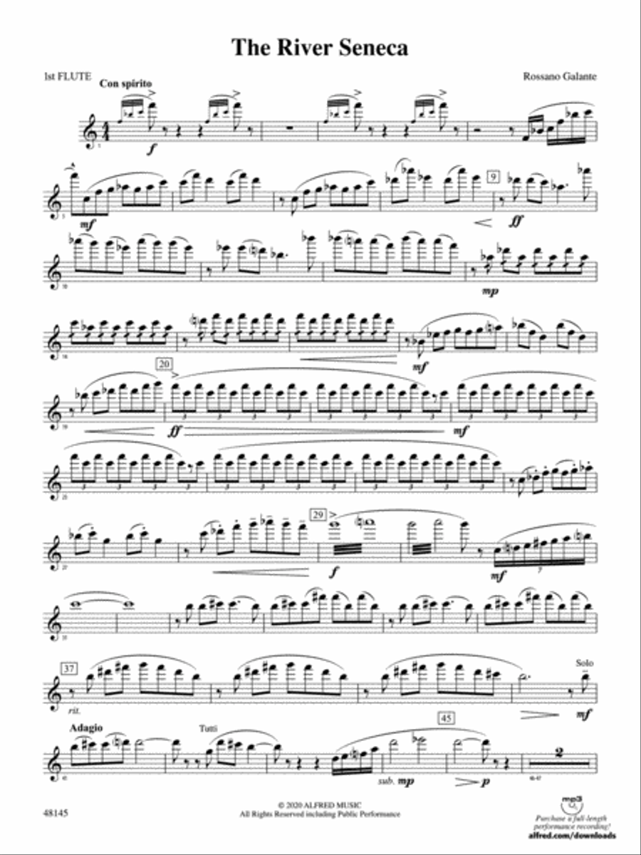 The River Seneca: Flute Concert Band scores gallery preview page 1
