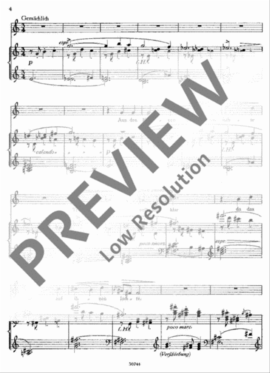 Sänge eines fahrenden Spielmanns Voice Solo scores gallery preview page 5