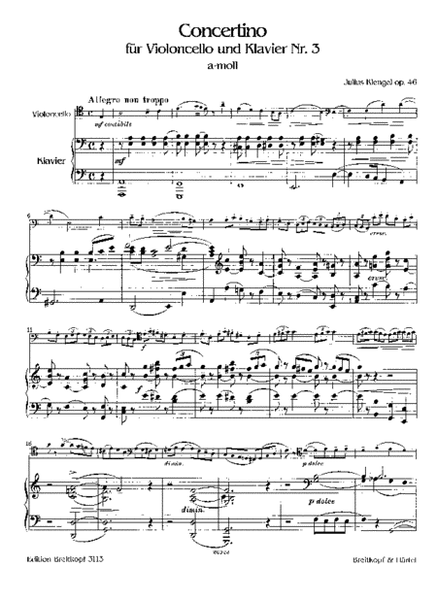Concertino No. 3 in A minor Op. 46