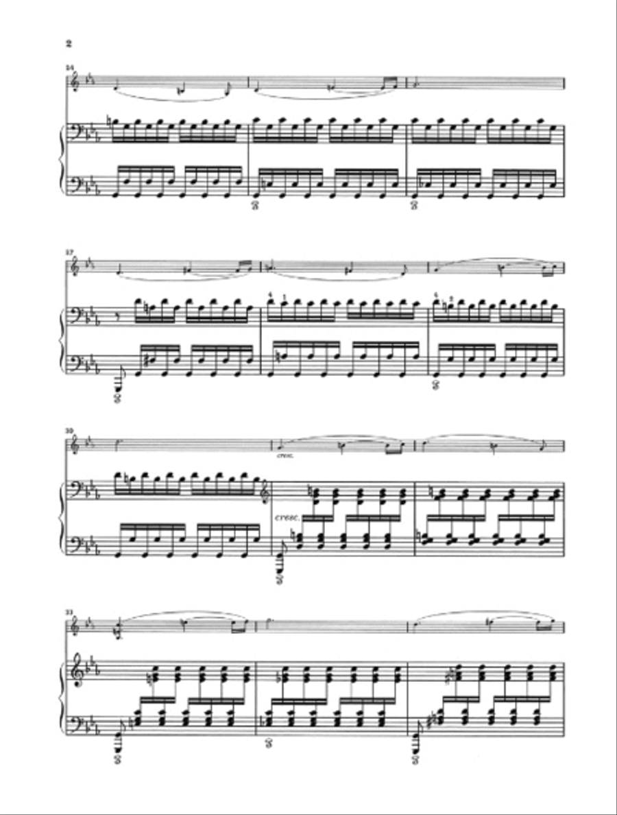 Violin Sonata in C minor Op. 45 Violin Solo scores gallery preview page 4