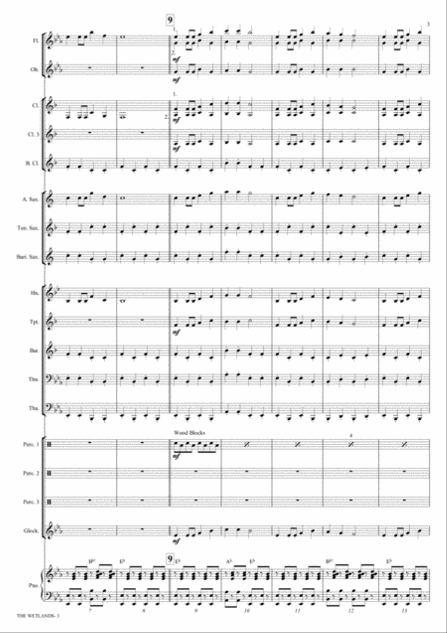 The Wetlands (Score and Parts) Concert Band scores gallery preview page 3