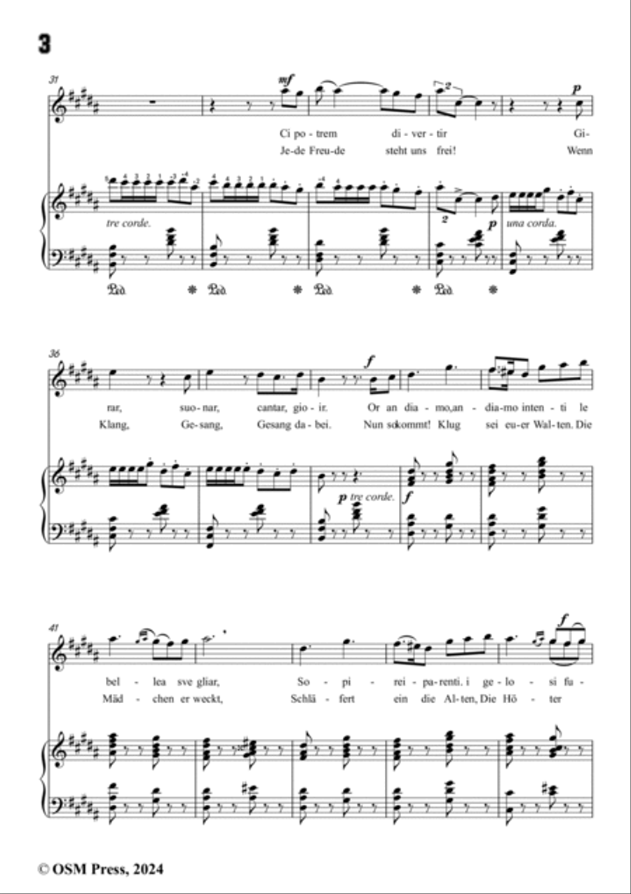 Paladilhe-Mandolinata( Souvenir de Rome),in B Major Voice scores gallery preview page 4