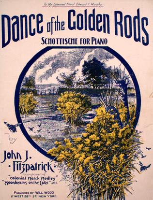 Book cover for DAnce of the Golden Rods. Schottische for Piano