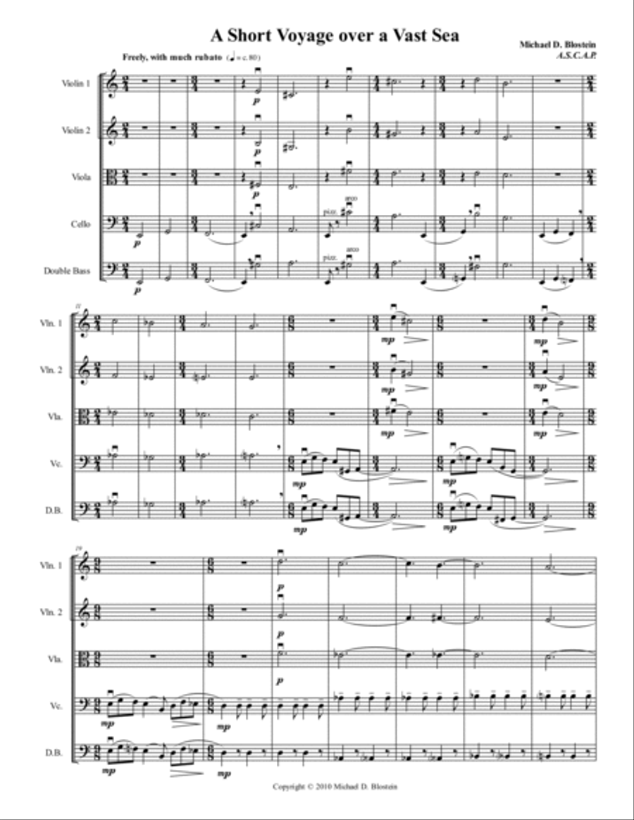 A Short Voyage Over A Vast Sea - Score Only String Orchestra scores gallery preview page 3