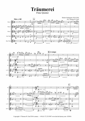 Träumerei - romantic Masterpiece by R.Schumann - Flute Quintet