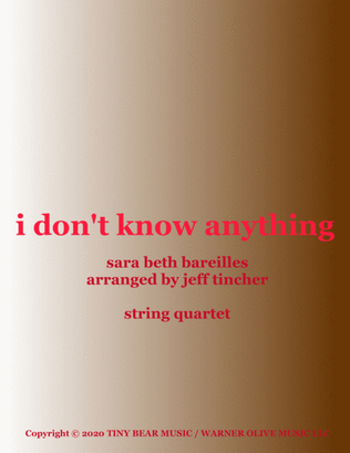 Book cover for I Don't Know Anything