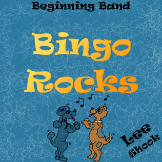 Book cover for Bingo Rocks