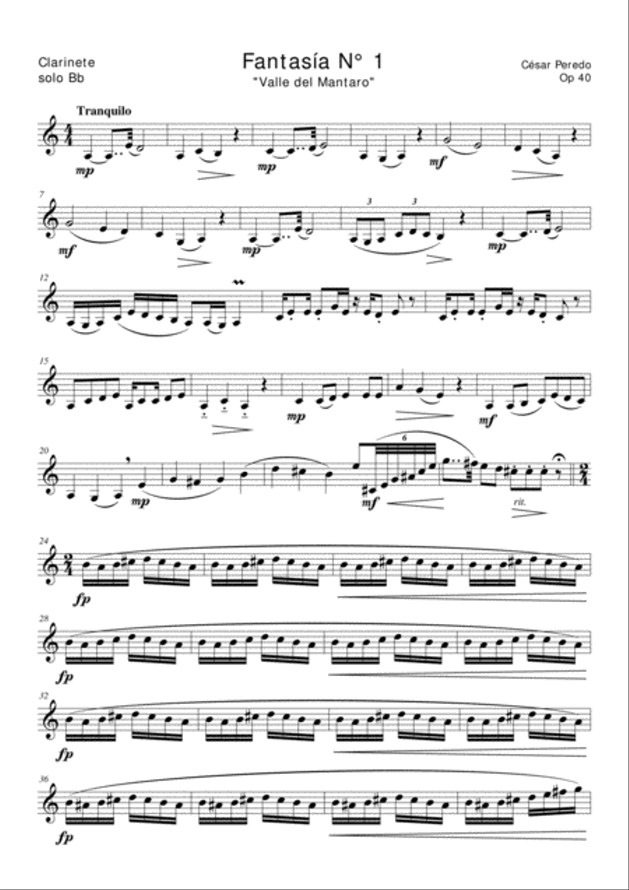 Fantasia N° 1 Op 40 para clarinete solo "Valle del Mantaro" image number null