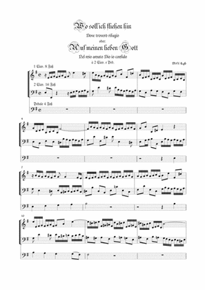 BACH J.S. - Wo soll ich - Auf meinen lieben Gott - BWV 646 - For Organ 3 staff