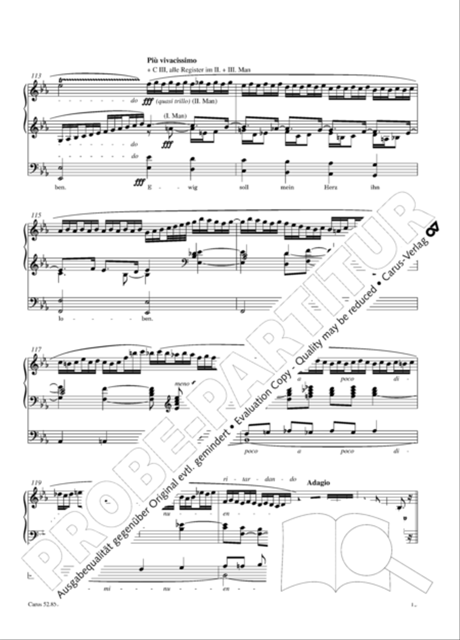 Choralphantasie Op. 40 Organ scores gallery preview page 16