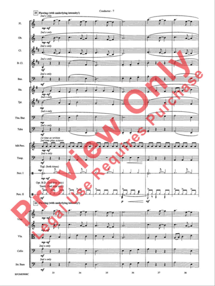 The Second Storm (Ivan) Full Orchestra scores gallery preview page 10