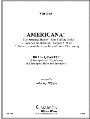 Book cover for Americana!