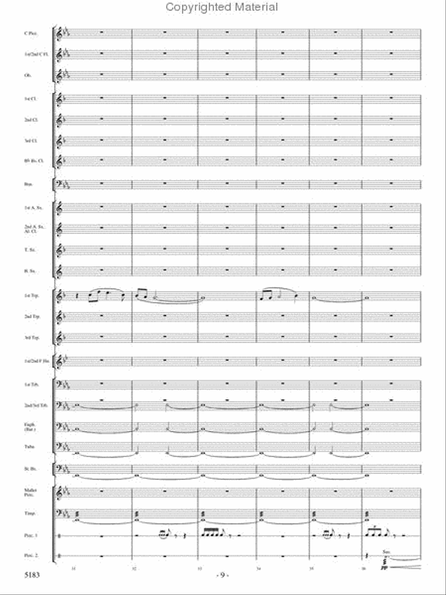 Portrait of Freedom Concert Band scores gallery preview page 8
