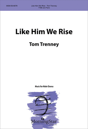 Book cover for Like Him We Rise