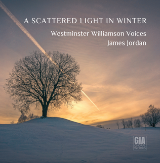 Book cover for A Scattered Light in Winter