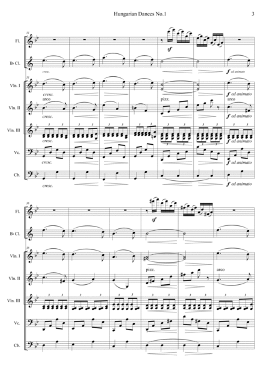 Hungarian Dances No.1 in G minor, Allegro molto Orchestra scores gallery preview page 3
