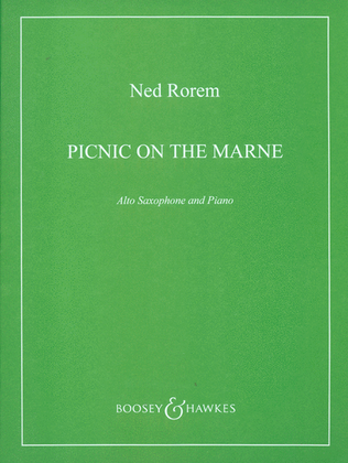 Book cover for Picnic on the Marne