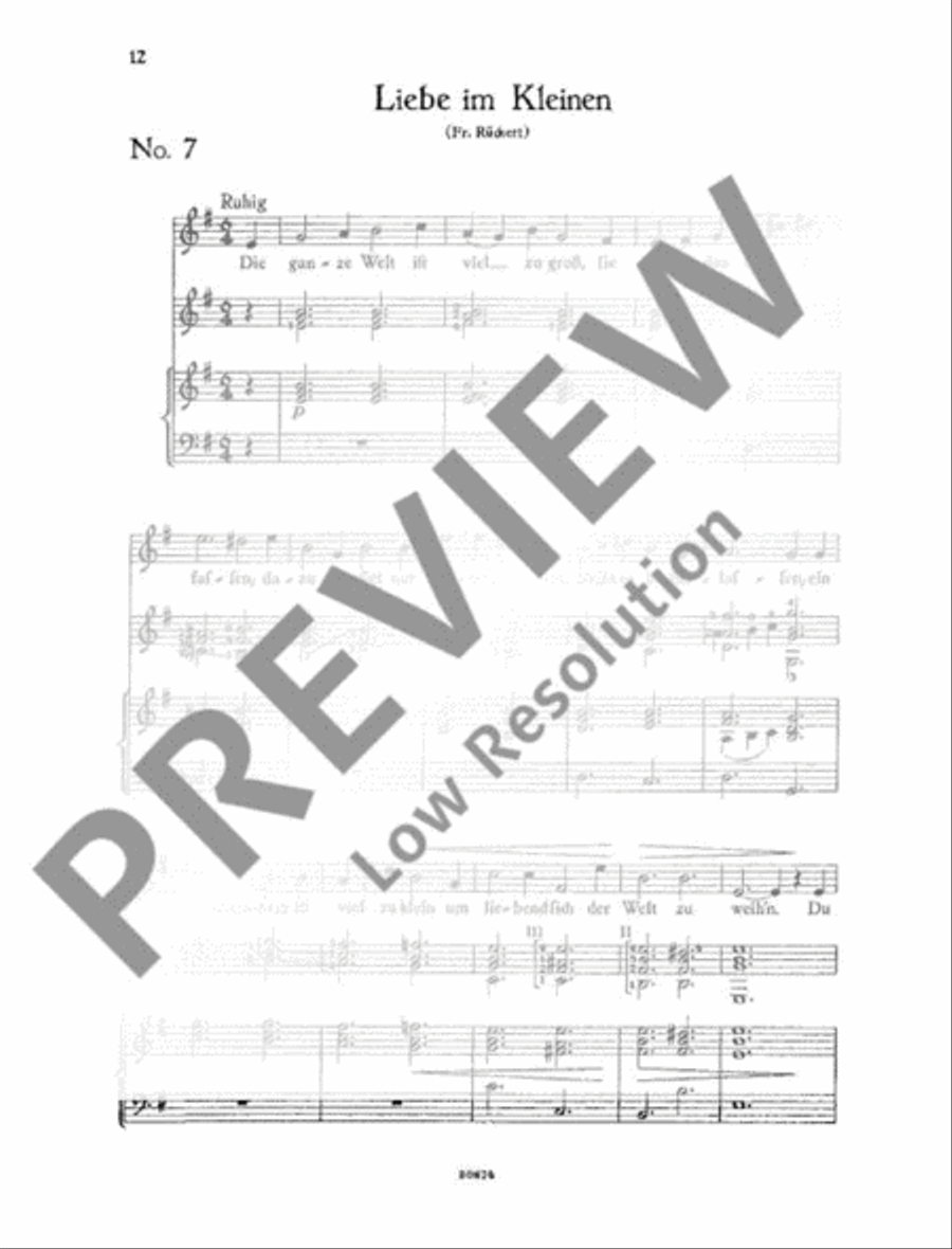 Lieder zur Laute Lieder zur Laute Voice Solo scores gallery preview page 15