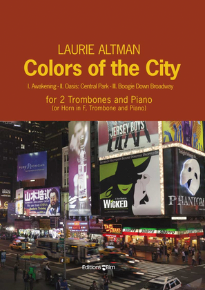 Book cover for Colors of the City
