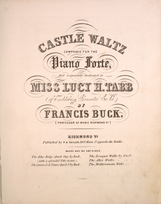 Book cover for Castle Waltz