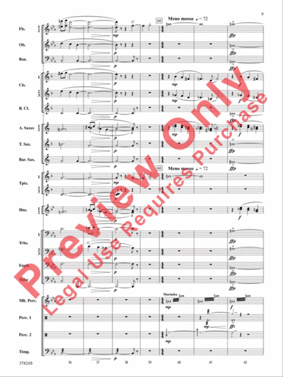Shadows of the Equinox Shadows of the Equinox Concert Band scores gallery preview page 10