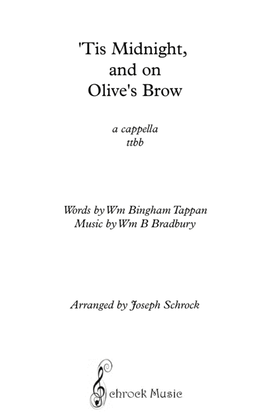 Book cover for 'Tis Midnight and on Olive's Brow